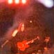 live at Palasport Firenze-  15/12/2001