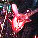 Zap guest at PIO gig (02-11-2002)
